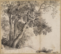 L 045
          <br/>
          Boomgroep
          <br/>
          <em>Lorrain, Claude (1604/5-1682)</em>
